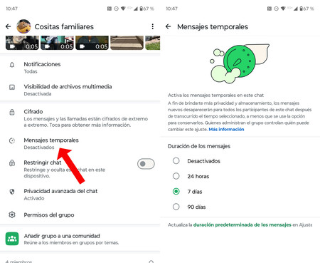 Mensajes Temporales