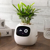 Como un Tamagochi, pero para plantas: esta maceta inteligente es una pasada que apenas cuesta 50 euros 