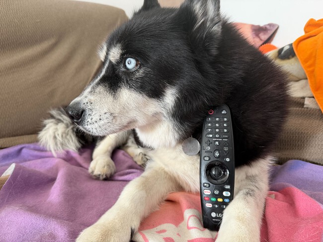 Mando Lg Magic Remote Cesar 5
