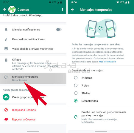 Mensajes Temporales Whatsapp