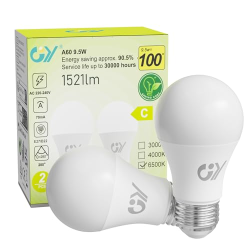 GY Bombillas Led E27 Luz Fría 6500K - 9,5W Equivalente a 100W - 1521 Lúmenes, No Regulable - A60 Bombilla Led Esférica Caja de 2 Unidad