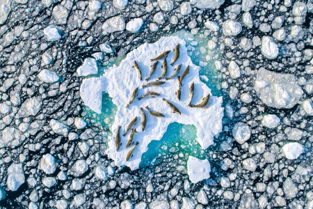 Estas son las mejores imágenes de naturaleza del año según el nuevo concurso Nature TTL Photographer of the Year 2020
