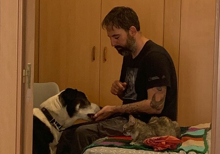 Gata Perros 4