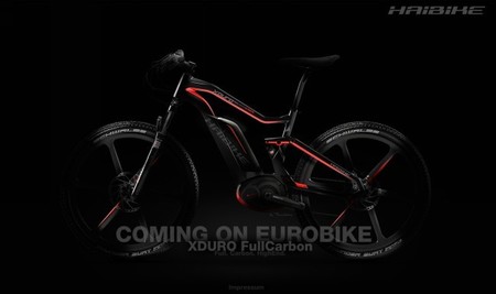 haibike-xduro-fullcarbon.jpg