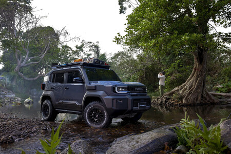 Meridiano toyota land cruiser fj