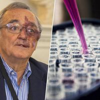 Un hito español contra el cáncer de páncreas: estamos un paso más cerca de erradicarlo pero aún queda mucho por delante