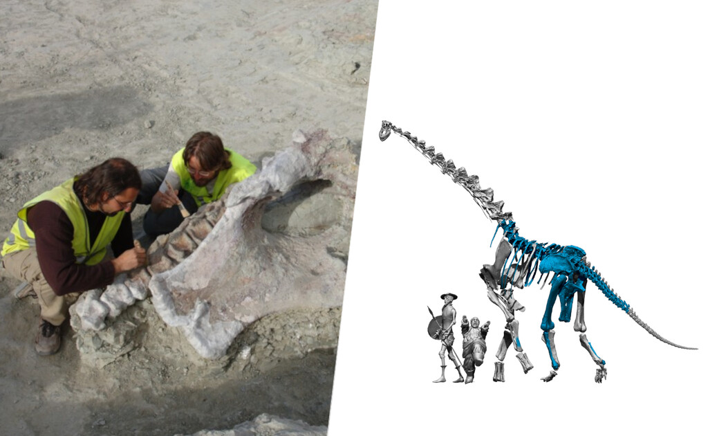 Acabamos de descubrir un dinosaurio enorme en España. Debajo de las obras del AVE