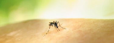 El viernes 5 de junio llega a Lidl un cacharro para combatir a los mosquitos sin usar insecticida por menos de 10 euros