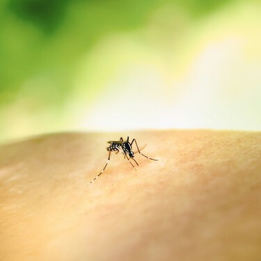 El viernes 5 de junio llega a Lidl un cacharro para combatir a los mosquitos sin usar insecticida por menos de 10 euros