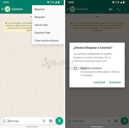 Bloquear Reportar Whatsapp