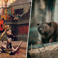 A los romanos las peleas de gladiadores les sabían a poco, así que tuvieron una idea: añadirles osos pardos y leones