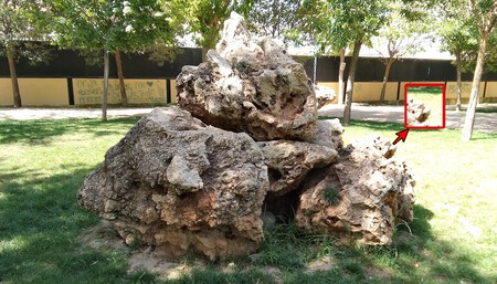 Fotografia Dia No Hdr