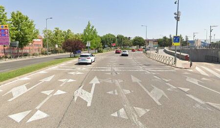 Dientes de dragón en Rivas-Vaciamadrid