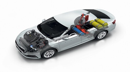 Skoda Octavia TGI 2020