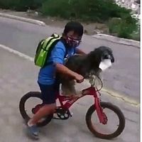 El emotivo vídeo viral de un niño poniendo la mascarilla a su perro para protegerle del coronavirus