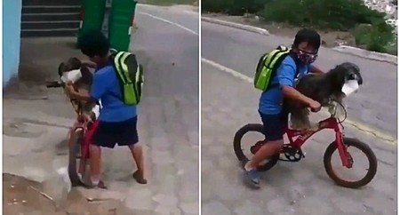 El emotivo vídeo viral de un niño poniendo la mascarilla a su perro para protegerle del coronavirus