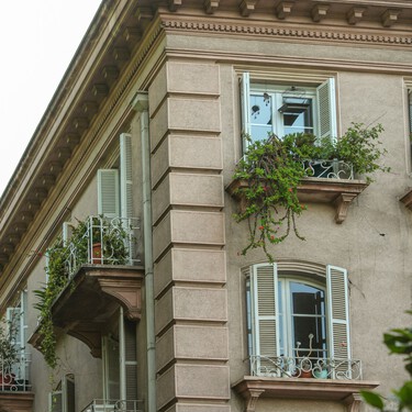 Lidl lanza este viernes las plantas perfectas para dar un toque de color en casa esta primavera