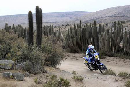 Podio Dakar 2013