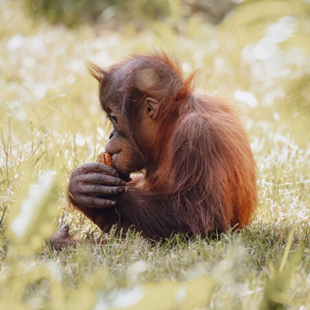 Mark Flanagan Ddawg6nemby Unsplash