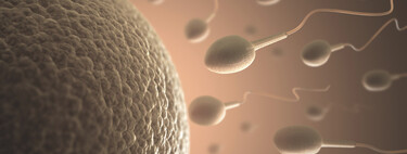 La calidad del semen de los españoles es cada año peor que el anterior, según datos de la Sociedad Española de Fertilidad