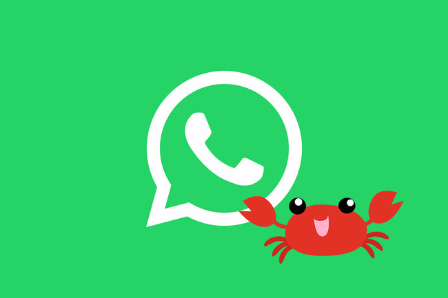 Whatsappcangrejeando