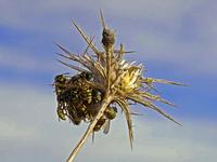 ¿Por qué en algunas empresas las mujeres no ascienden? 