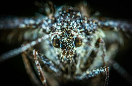 Pexels Ekamelev 1149693