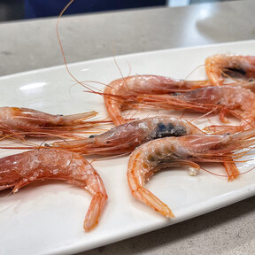 El bar de Granada que tiene conexión directa con la lonja de Motril y sirve el mejor marisco y pescado de la ciudad 