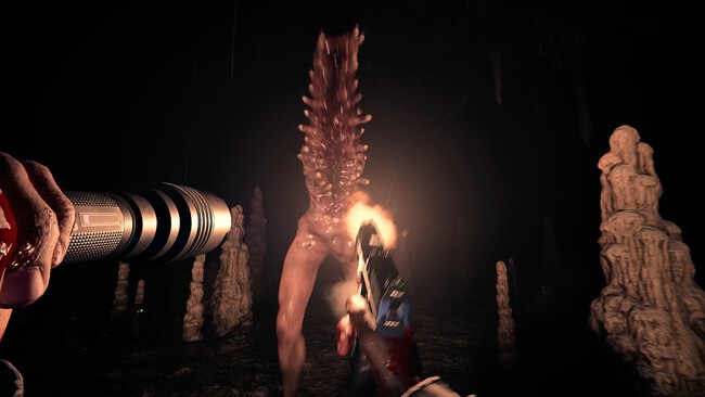 Imagen de Sons Of The Forest (Endnight Games)