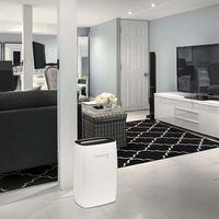 Oferta del día en Amazon: deshumidificador Rowenta Intense Dry Compact DH4216F0 por 134,99 euros hasta medianoche