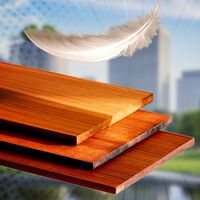 Uma startup está cozinhando madeira em produtos químicos e prensando-a sob calor intenso; o motivo: eles estão criando um material que seria considerado ficção científica há dez anos 