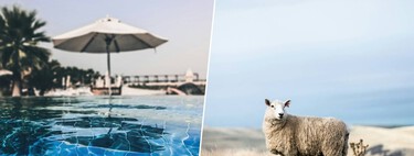 La lana que nadie quiere comprar ahora da sombra en las piscinas de Ávila