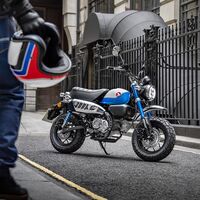 La Honda Monkey se renueva: una moto clásica de 125 cc que se adapta a la Euro 5 sin perder potencia y estrena decoración
