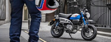 La Honda Monkey se renueva: una moto clásica de 125 cc que se adapta a la Euro 5 sin perder potencia y estrena decoración