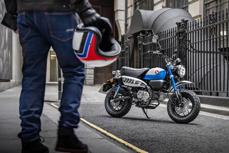 La Honda Monkey se renueva: una moto clásica de 125 cc que se adapta a la Euro 5 sin perder potencia y estrena decoración