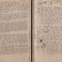 Llevamos 600 años intentando descifrar el manuscrito Voynich. Ahora alguien cree estar más cerca de conseguirlo