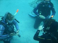 La economía sumergida no es un efecto de la crisis