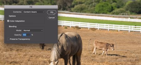 Photoshop mejora significativamente el relleno automático de imágenes con el nuevo Content-Aware Fill
