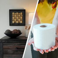 Sabía que los rollos de papel higiénico usado eran un tesoro para la creatividad, pero no que valían para tener un cuadro de diseño 