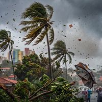 Qual o motivo de tanto vento? A ciência revela por que o ar no Brasil ficou tão agressivo 