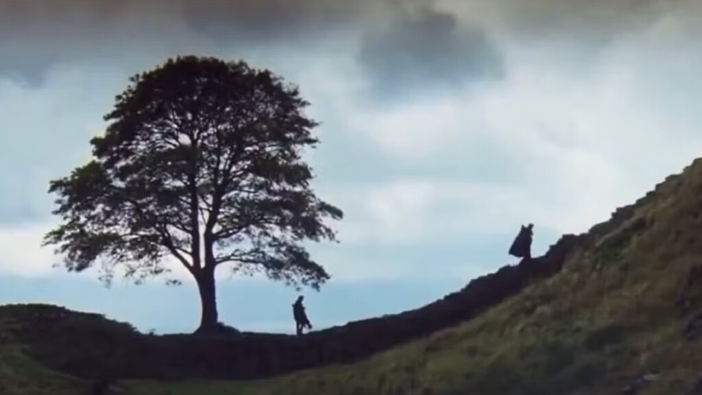 Cuando dos chalados borrachos talaron uno de los árboles más icónicos del cine y acabaron en prisión por más de cuatro años 