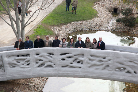 Alcobendas Puente 3d