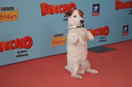 Pancho, el perro millonario para que los niños descubran el valor de la amistad