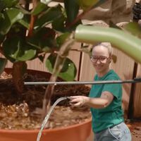 Jardineiros especialistas concordam: “regar as plantas às três da tarde é como despejar um balde de água fervente sobre elas” 