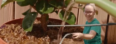 Jardineiros especialistas concordam: “regar as plantas às três da tarde é como despejar um balde de água fervente sobre elas” 