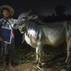 Foto 8 de 12 de la galería sony-world-photography-awards-2015 en Xataka Foto