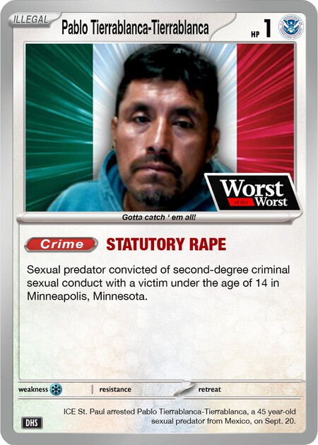 Pokemon Tgc Usa Migrantes