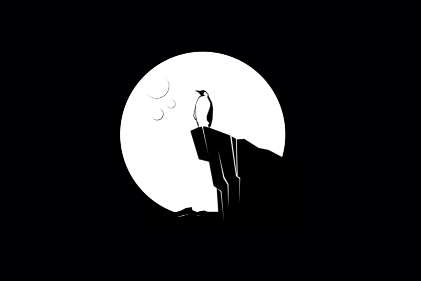 Los linuxeros son muy celosos de sus distros favoritas pero al final todos usan las mismas apps, al menos eso dicen los snaps