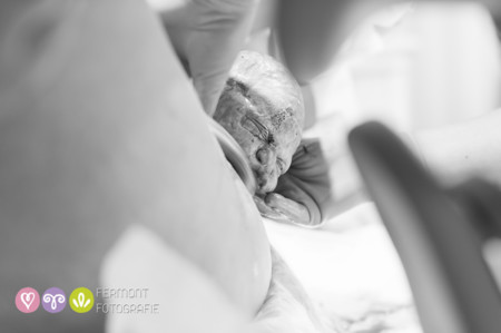 012 Head Born Fermont Fotografie