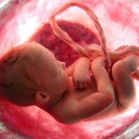 Grados de madurez de la placenta o maduración placentaria